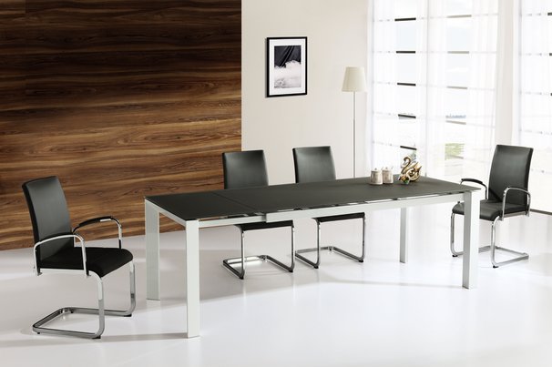 Mobo  Extending Dining range