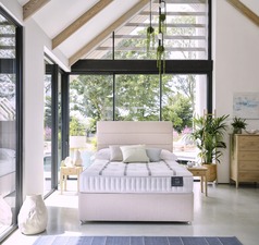 ORTHO BRONZE - Click for more details