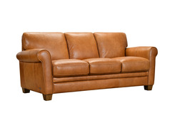 CAMEO - Click for more details